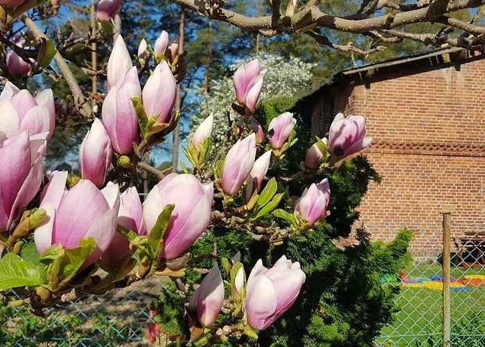 Victoria منزل للإقامة